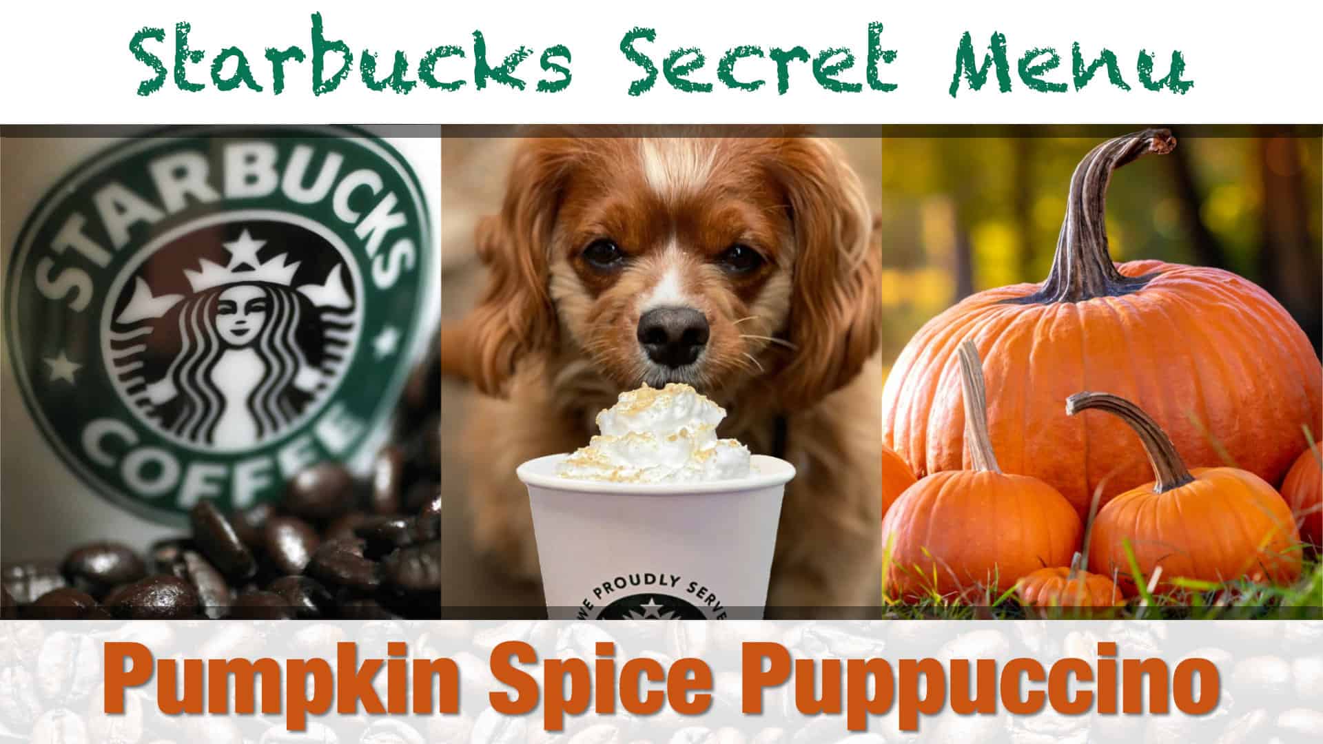 Starbucks Secret Menu Pumpkins Spice Puppuccino Recipe