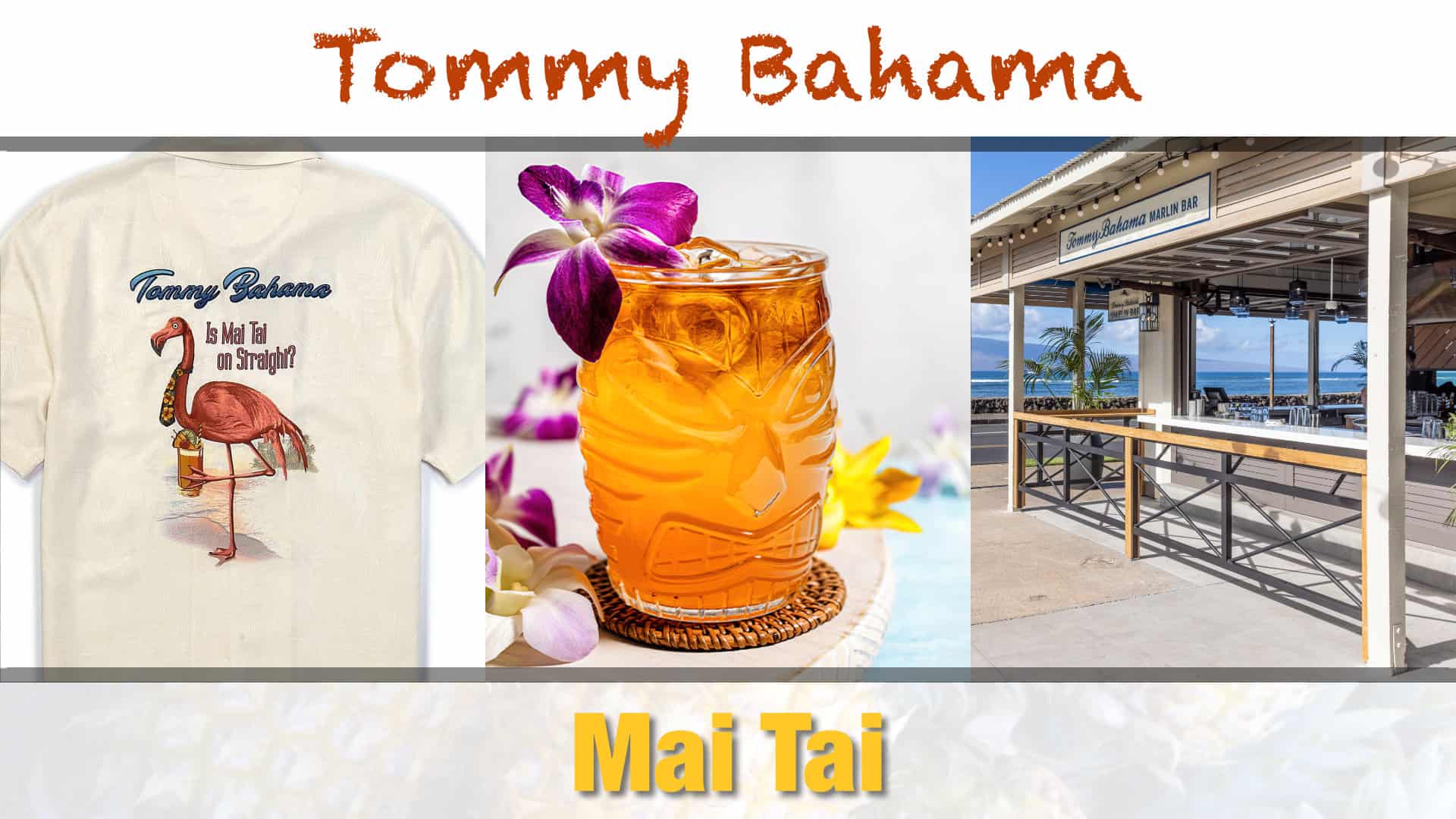 Tommy Bahama Mai Tai Recipe